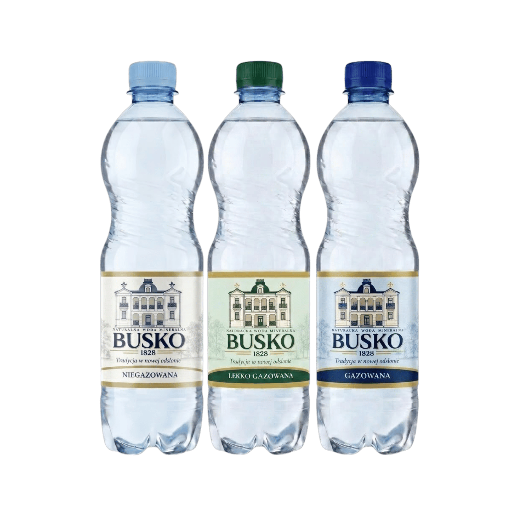 BUSKO 1828 0,5L × 12